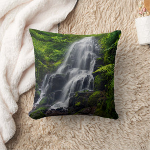 Fairy Falls   Colombia River Gorge Oregon. Cushion