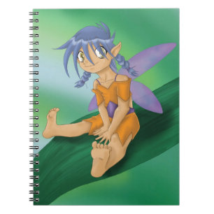 Fairy Fun Notebook