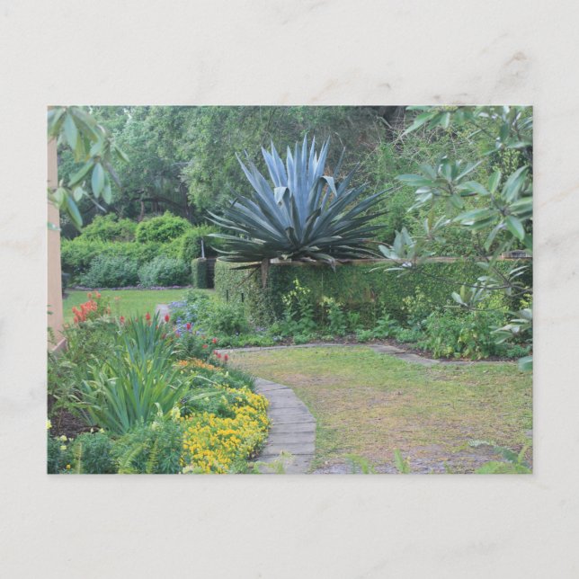 Fairy Garden Postcard (Front)