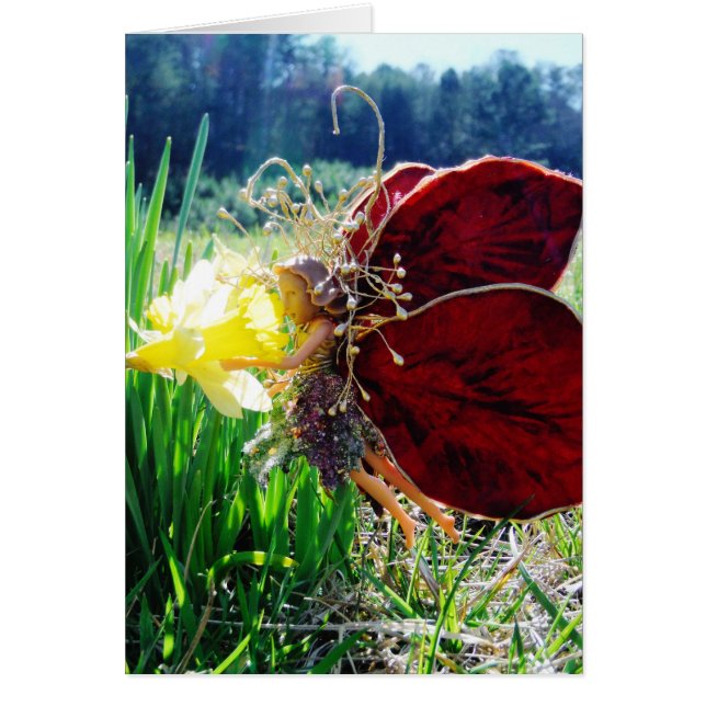 Fairy in the Daffodils (Front)