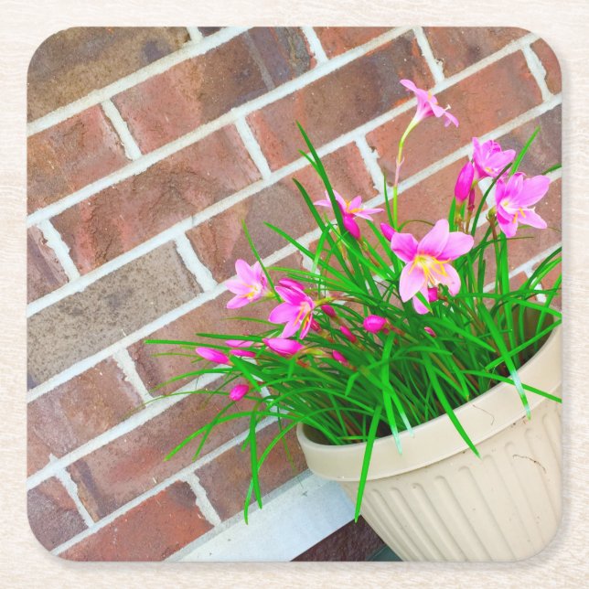 Fairy Lily Coasters (Front)