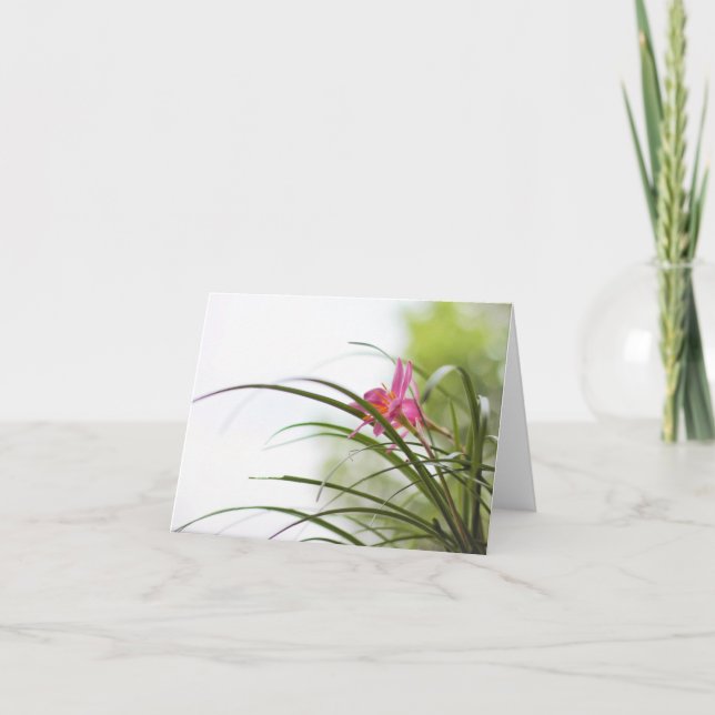 Fairy Lily Magic Note Cards (Front)