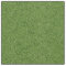 Fairy Moss - Green