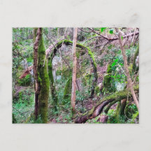 Fairy Portal - Rio de Janeiro - Conímbriga - PT