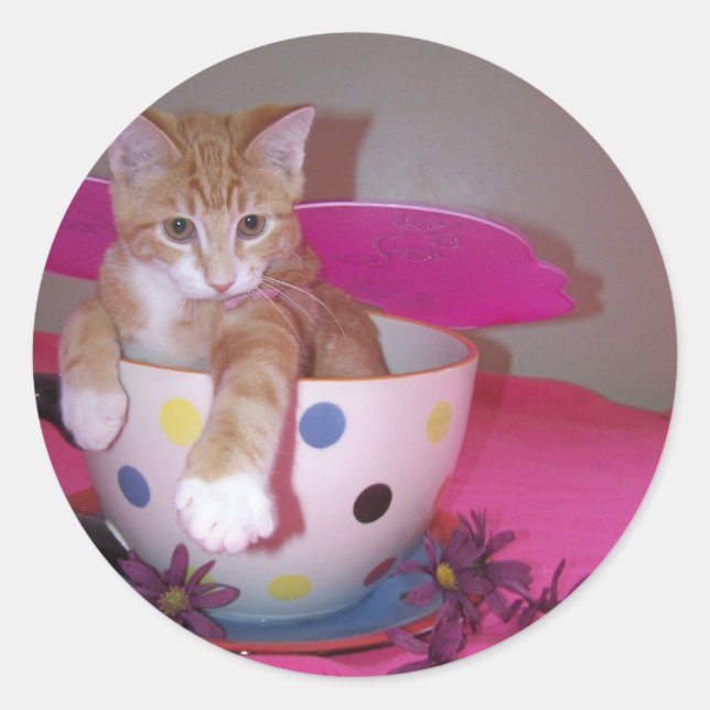 Fairy sticker (Front)