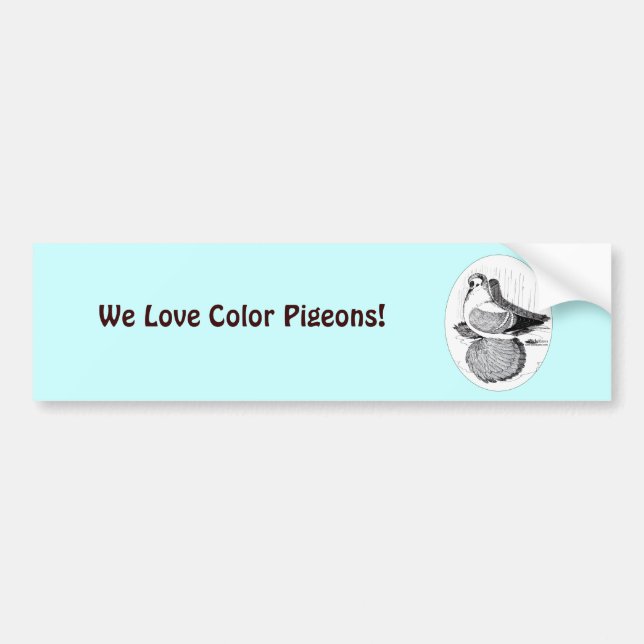 Fairy Swallow Pigeon 1978 Bumper Sticker (Front)