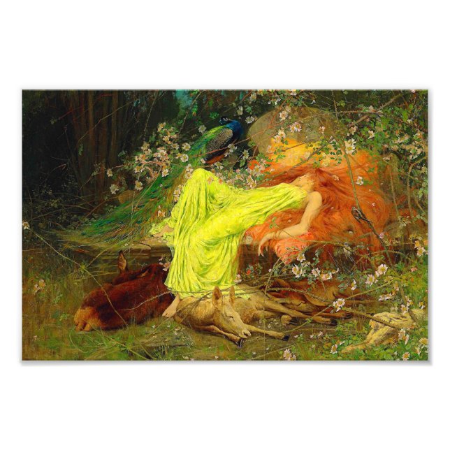 Fairy Tale Arthur Wardle Photo Print (Front)