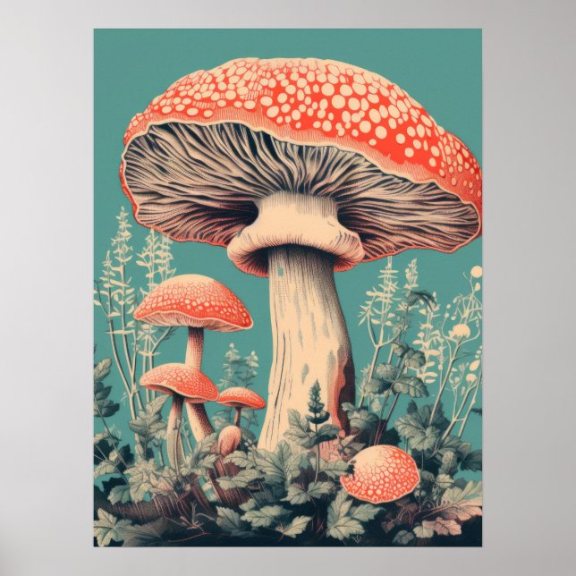 Fairy Tale Fungi Poster (Front)
