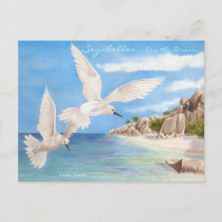 Fairy Terns Postcard