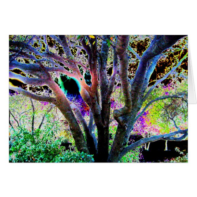 Fairy Tree (Front Horizontal)