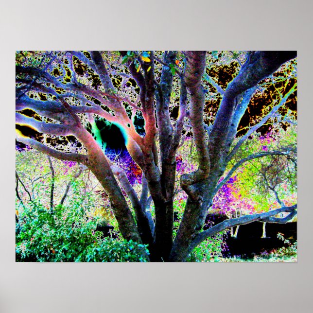 Fairy Tree Poster (Front)