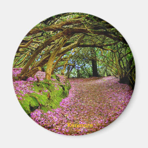 Fairy Tunnel, Kenmare Magnet