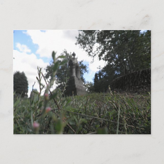 Fairy View Postcard (Front)