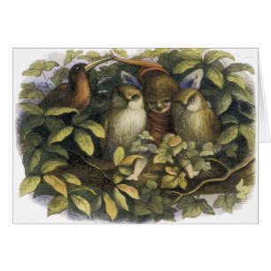 Fairy With Owls Card by Richard Doyle