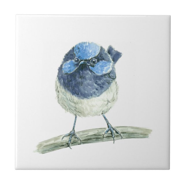 Fairy wren ceramic tile (Front)