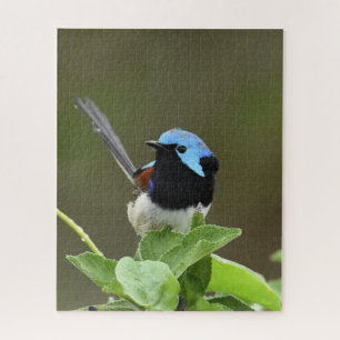 Fairy Wren Jigsaw Puzzle