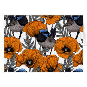 Fairy wrens and orange poppy flowers 2