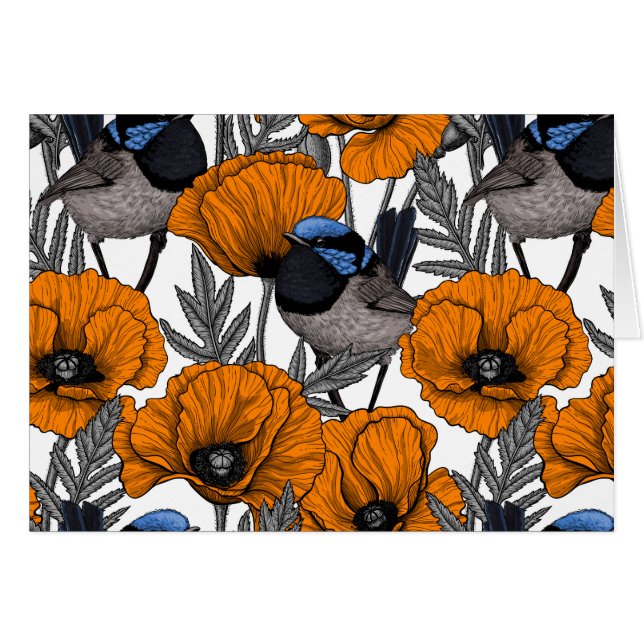 Fairy wrens and orange poppy flowers 2 (Front Horizontal)