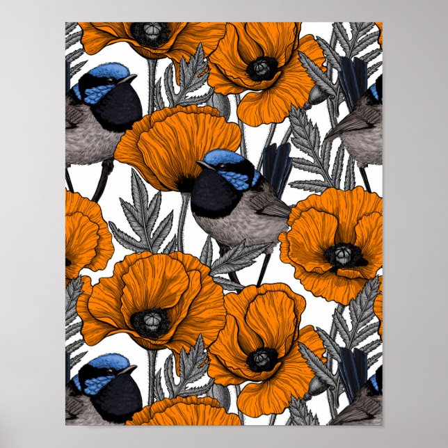 Fairy wrens and orange poppy flowers 2 poster (Front)