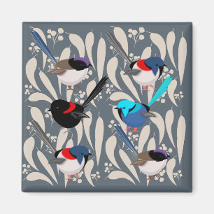 Fairy Wrens Magnet