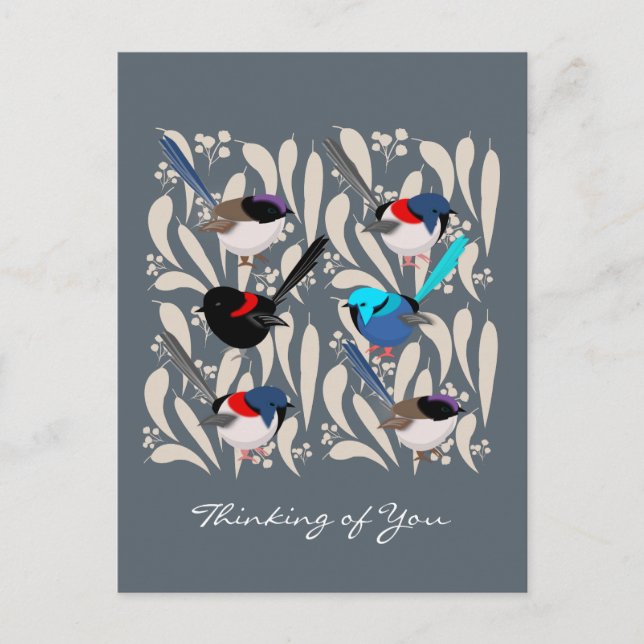 Fairy Wrens Postcard (Front)