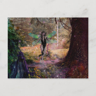 Fairydust Postcard