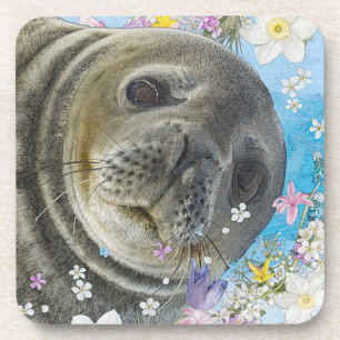 Fairytale Sealion in Ocean of Flowers Coaster