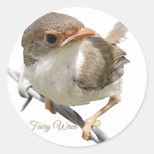 "Fairywren" Classic Round Sticker