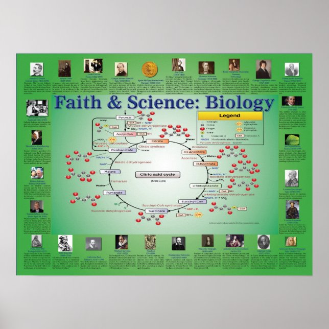 Faith and Science: Biology (Krebs Cycle) Poster (Front)