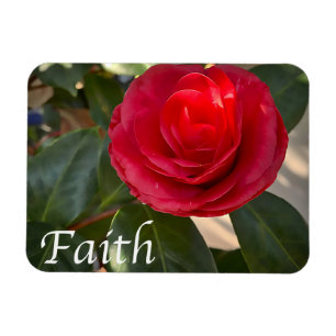 Faith - Red Camellia Bloom Magnet
