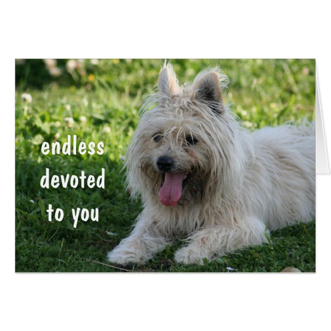 faithful (Front Horizontal)