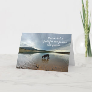 Faithful Companion Loss of Dog Sympathy Card