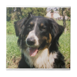 Faithful Finnegan Ceramic Tile