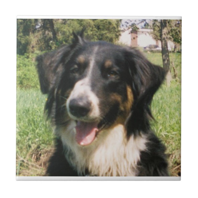 Faithful Finnegan Ceramic Tile (Front)