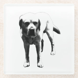 Faithful Labrador – Drink Companion Glass Coaster