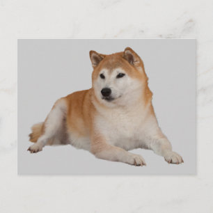 FAITHFUL POSTCARD