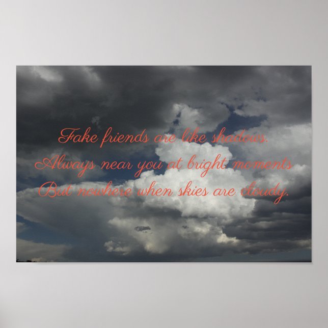 Fake Friends Poster (Front)