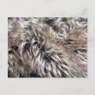 Fake Fur Texture Postcard