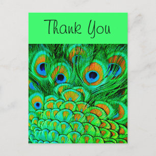 Fake Peacock Feathers Abstract Nature Pattern Postcard