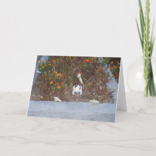 Fake Skeleton in Marigolds Decoration Photo Card