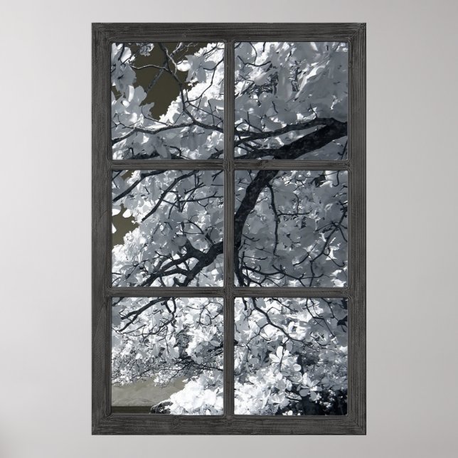Fake Window Illusion White Flower Blossoms Poster (Front)