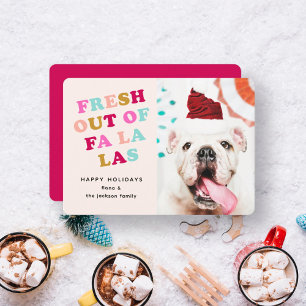 Falala   Retro Christmas Holiday Pet Dog Cat Photo