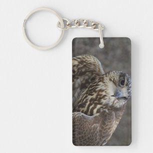 Falco cherrug key ring