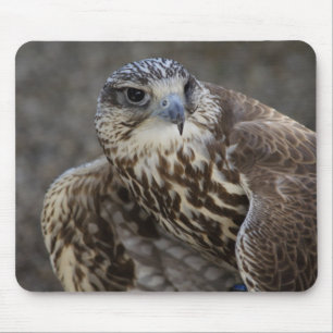 Falco cherrug mouse pad
