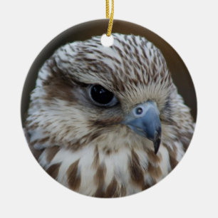 Falco cherrug Portrait Ceramic Ornament
