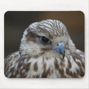 Falco cherrug Portrait Mouse Pad