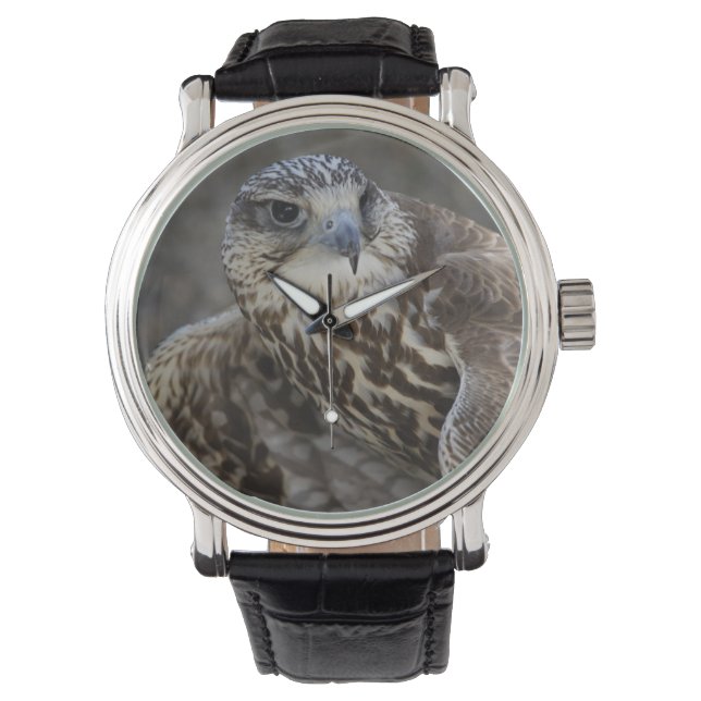 Falco cherrug watch (Front)