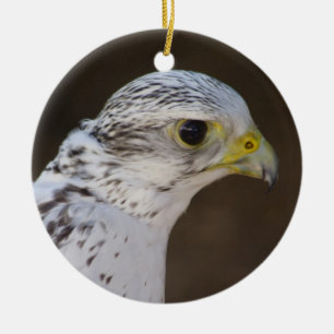 Falco rusticolus ceramic tree decoration