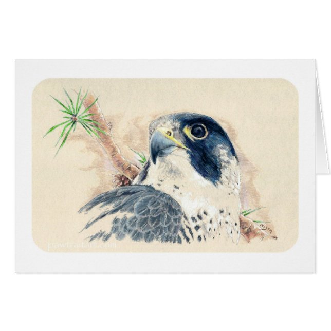 Falcon (Front Horizontal)