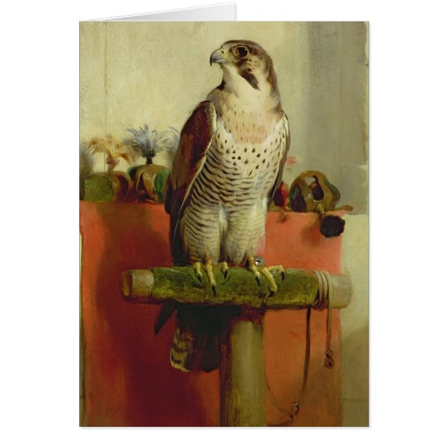 Falcon, 1837 (Front)